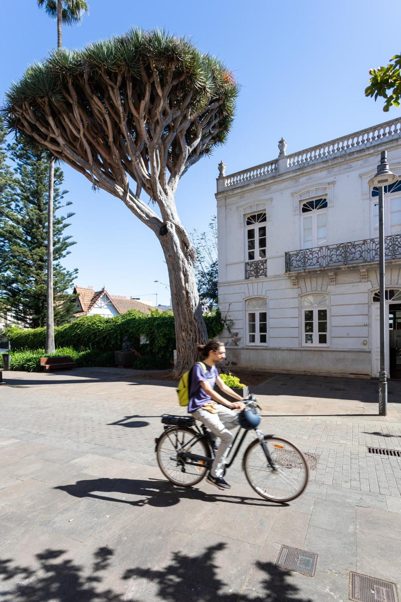 Home2Book Charming Casa Carretas La Laguna Center Ngoại thất bức ảnh